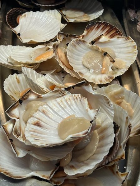 Cousin Clara's Classic Scalloped Oysters