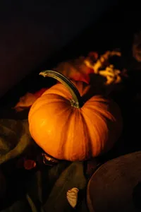 Aunt Petunia's Parsnip and Pear Gratin recipe