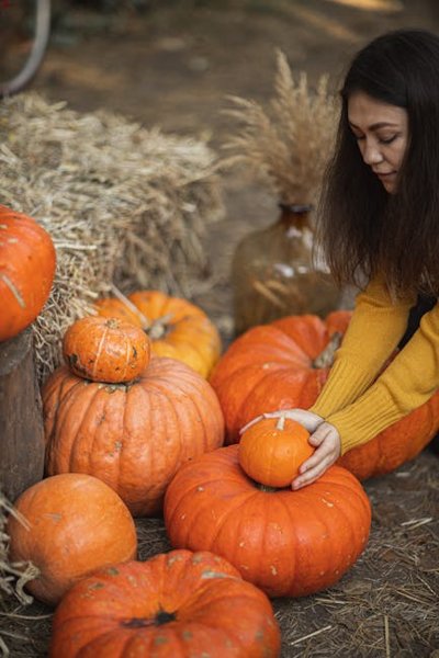 TikTok Big Mac Smash Wraps