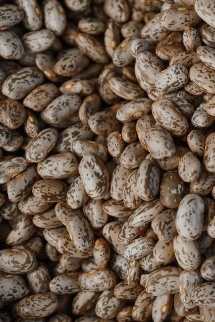 Copycat Cracker Barrel Pinto Beans