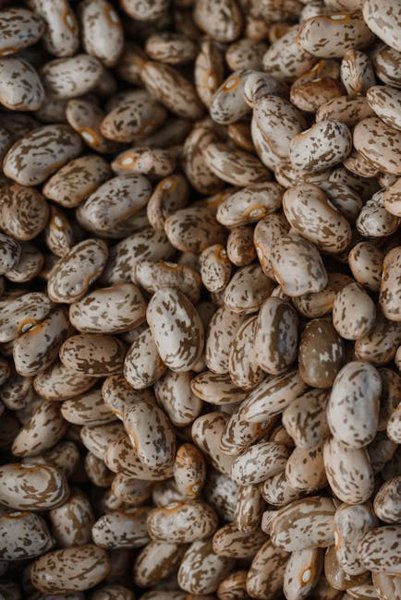 Copycat Cracker Barrel Pinto Beans