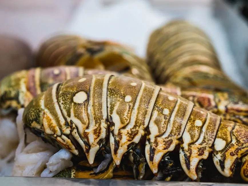 Copycat Red Lobster Rock Lobster Tail