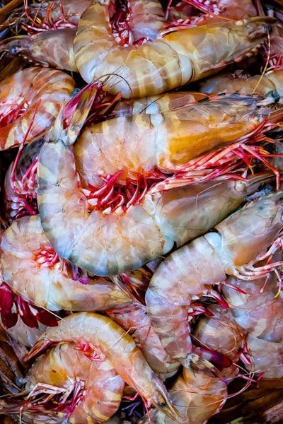 Delaware Crab Puffs