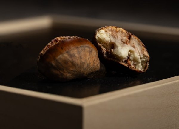 Grandma Eloise's Chestnut & Sausage Galantine