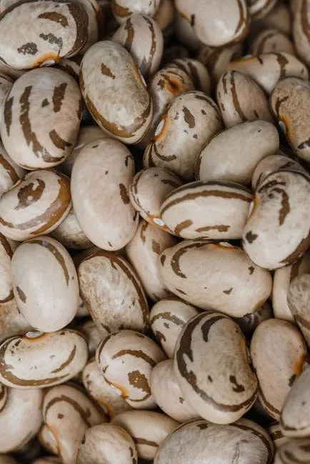 Classic Heirloom Bean Succotash