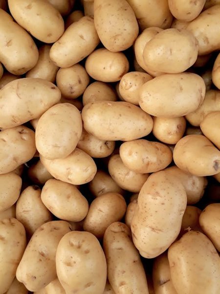 Mashed Potatoes