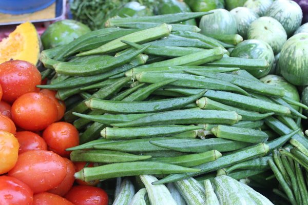 Okra and Tomato Stew
