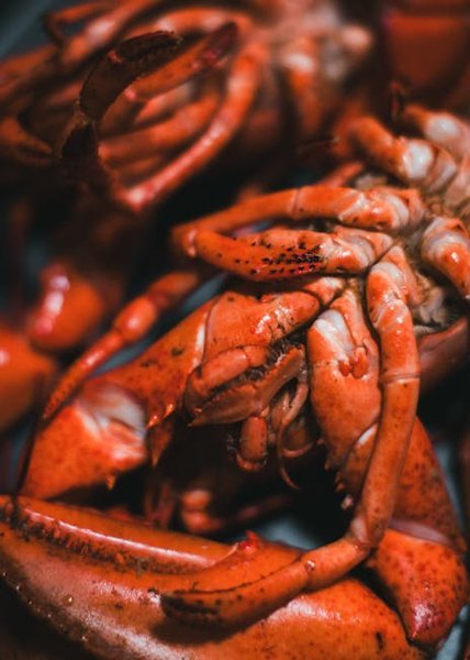 Red Lobster Seafood Feast