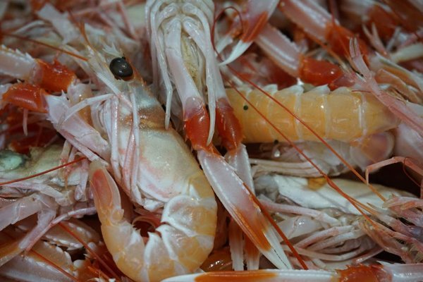 Red Lobster Shrimp Scampi