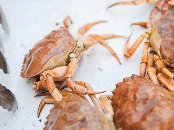 Red Lobster Snow Crab Legs preview