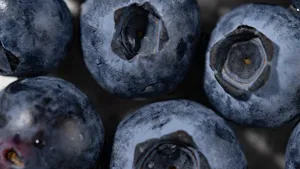 Blue Corn Crepes with Wild Berries