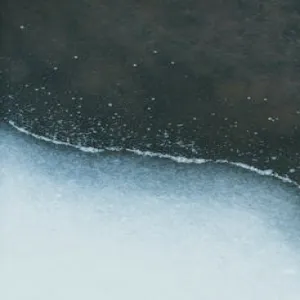 Bouillabaisse recipe