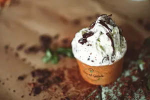 Copycat Baskin-Robbins Mint Chocolate Chip Ice Cream