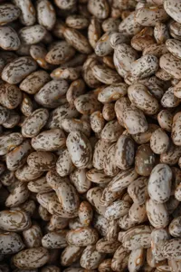 Copycat Cracker Barrel Pinto Beans