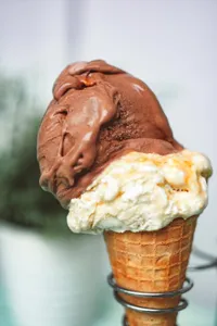 Copycat Wendy's Chocolate Frosty