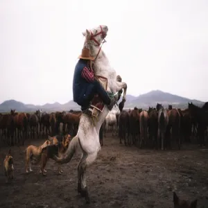 Cowboy potato recipe