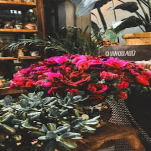 French Cassoulet recipe