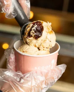 Frozen Yogurt Chocolate Clusters