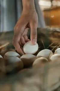 Ranch Pickle Deviled Eggs recipe
