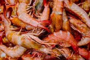 Shrimp-Stuffed Mirlitons recipe