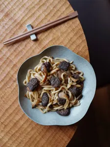 Udon Noodles preview